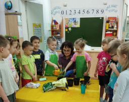 🎄ЁЛОЧКА, ЖИВИ!🎄или День вечнозеленых растений🌲 🎄ЁЛОЧКА, ЖИВИ!🎄или День вечнозеленых растений🌲.